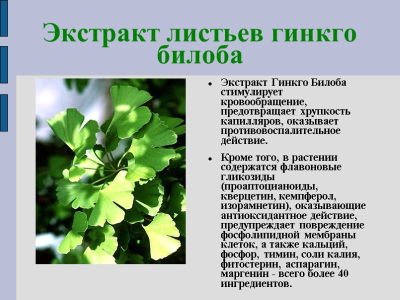 Экстракт листьев гинкго билоба Экстракт Гинкго Билоба стимулирует кровообращение, предотвращает хрупкость капилляров, оказывает противовоспалительное